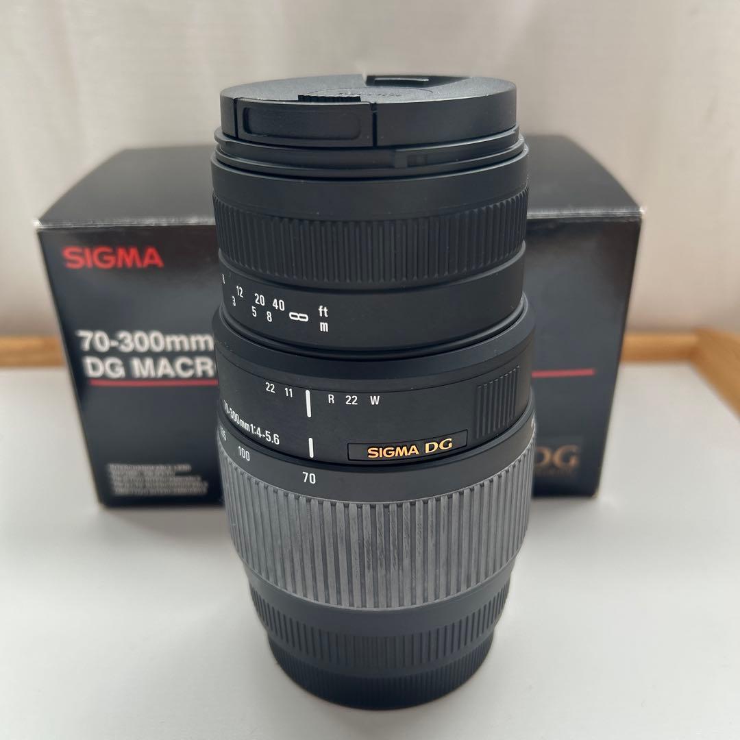 SIGMA レンズ　Canon 70-300mm F4-5.6 DG MACRO