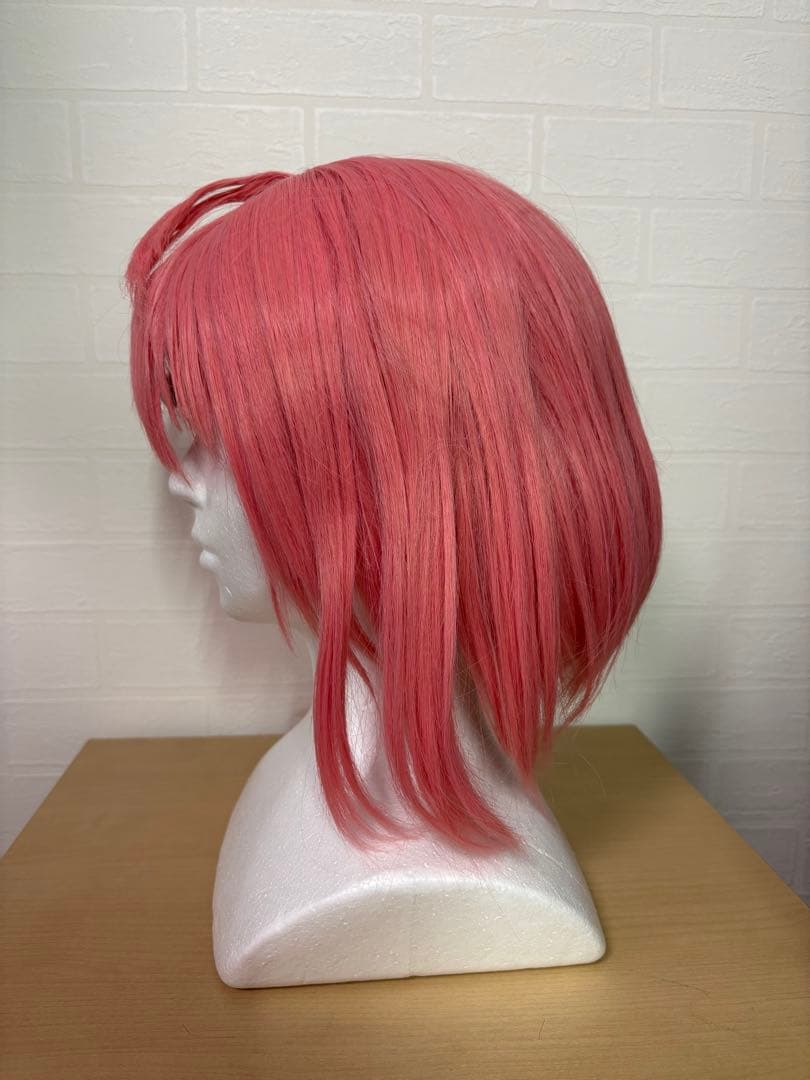 にじさんじ　笹木咲　Lサイズ通常衣装セット ウィッグ付き