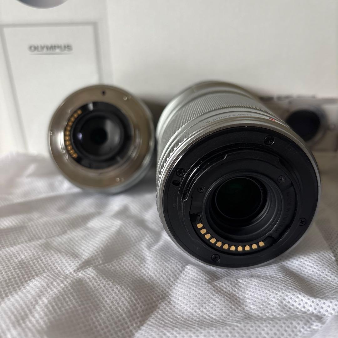 OLYMPUS PEN E-PL10 ミラーレス一眼