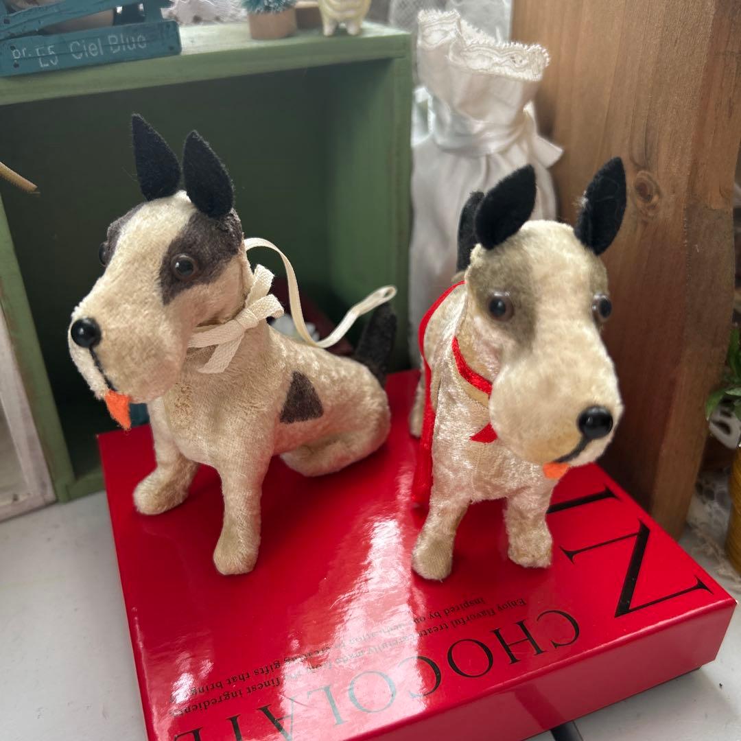 ビンテージフォックステリア