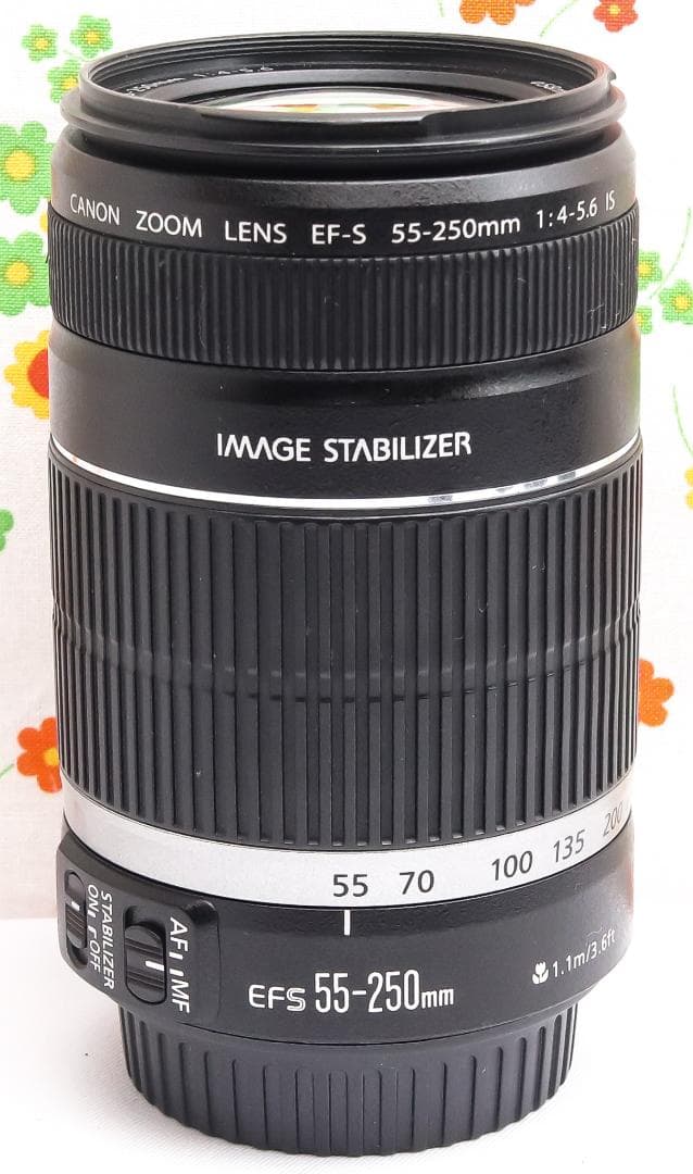 キャノン Canon EF-S 55-250mm IS☆お手軽望遠レンズ♪