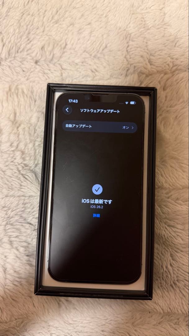 iPhone13 Pro 512GB シエラブルー