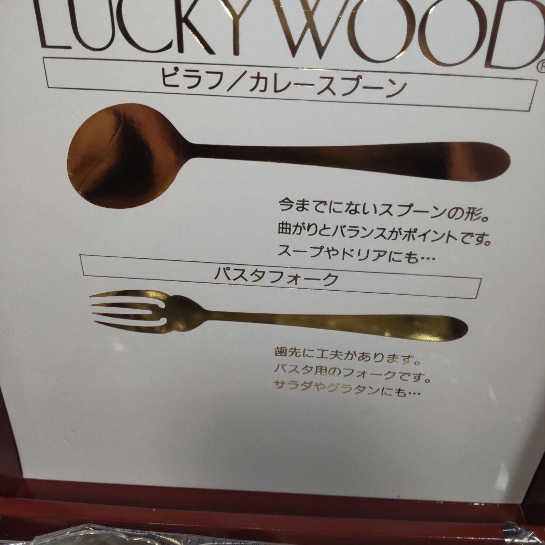 ラッキーウッド カトラリー カレー スプーン オーロリー 18-12 10本