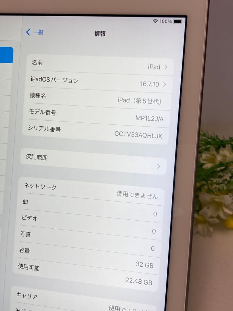 iPad 第5世代 Wi-Fi+Cellular 32GB ドコモ SIMフリー