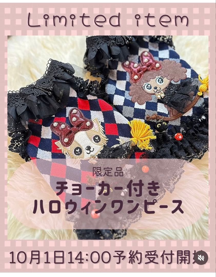 J&K Animals 限定ハロウィンワンピース 3S