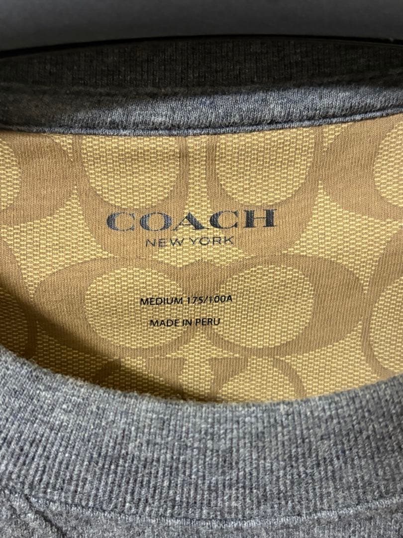 COACH スカルプリント クルーネック M グレー