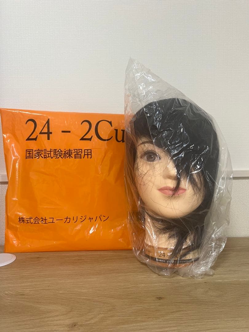 美容師国家試験練習用ウィッグセット