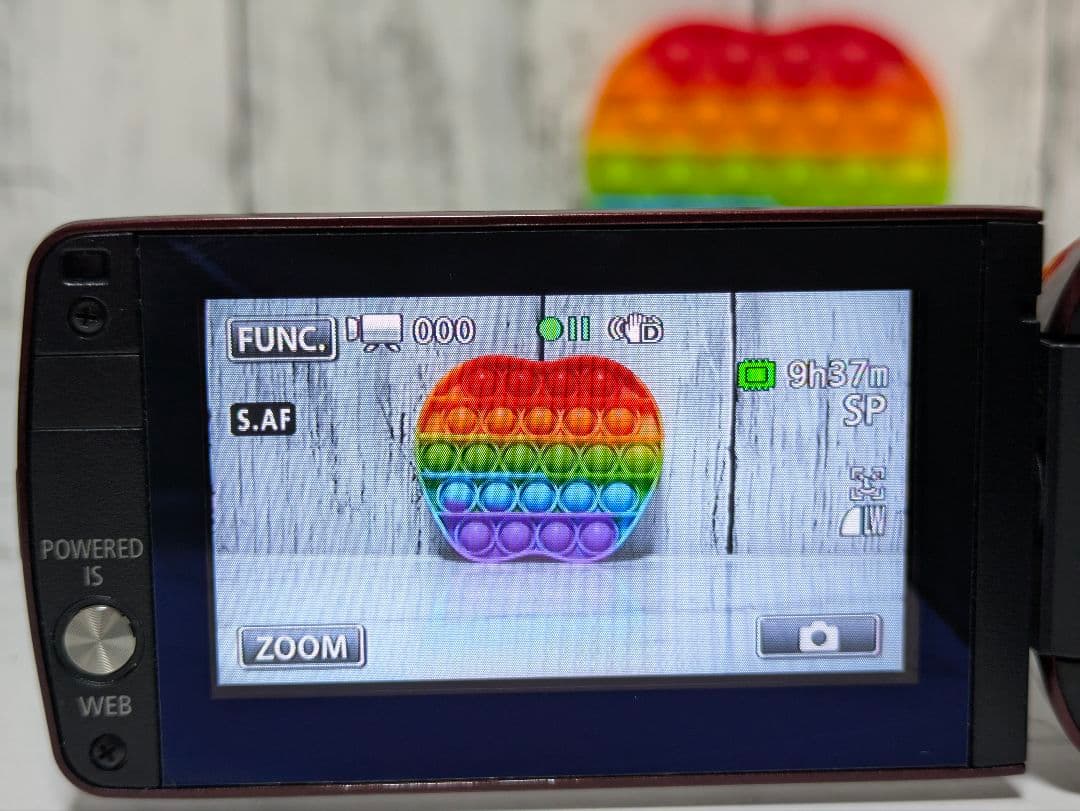 Canon　iVIS HF M31　充電器セット