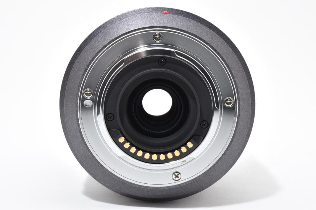 パナソニック G VARIO 45-200mm F4-5.6 #21369