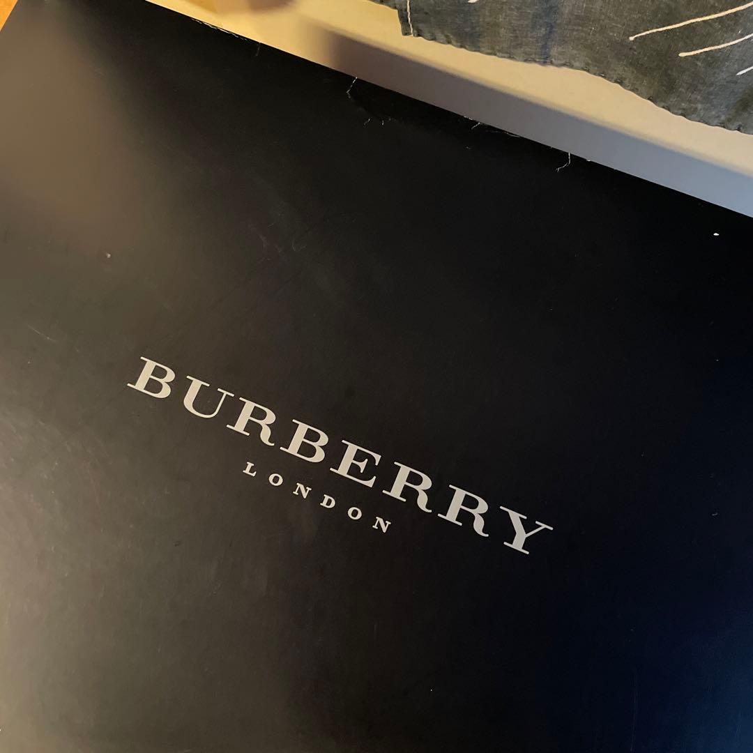 【未使用】Burberry 羽毛肌掛け布団 150×200　2枚　ペイズリー柄