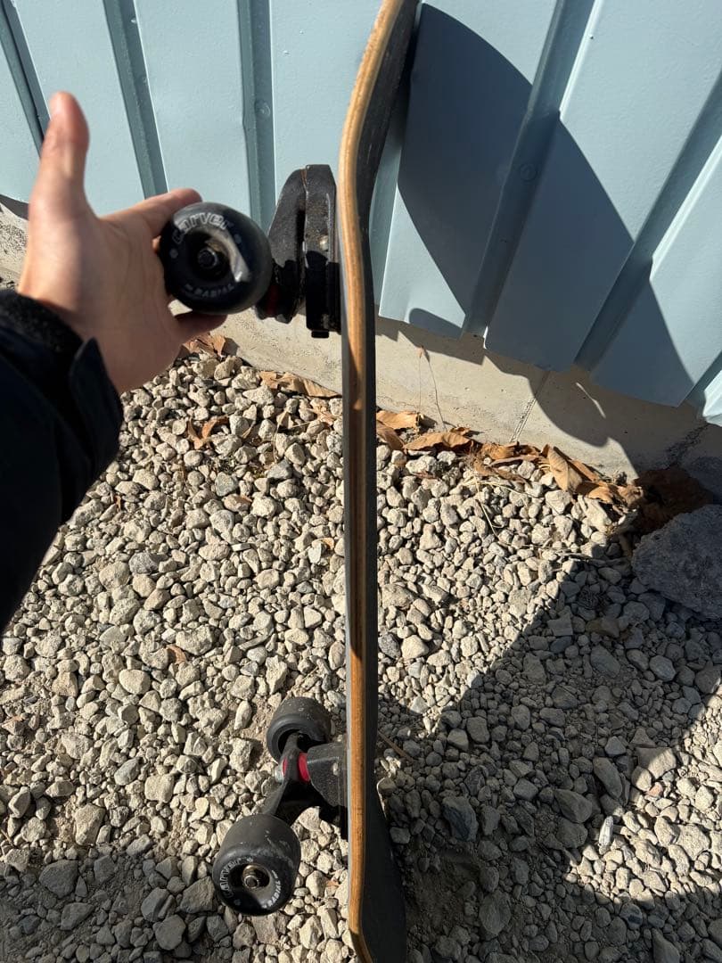 希少 Carver カーバー Griffin モデル スケートボード