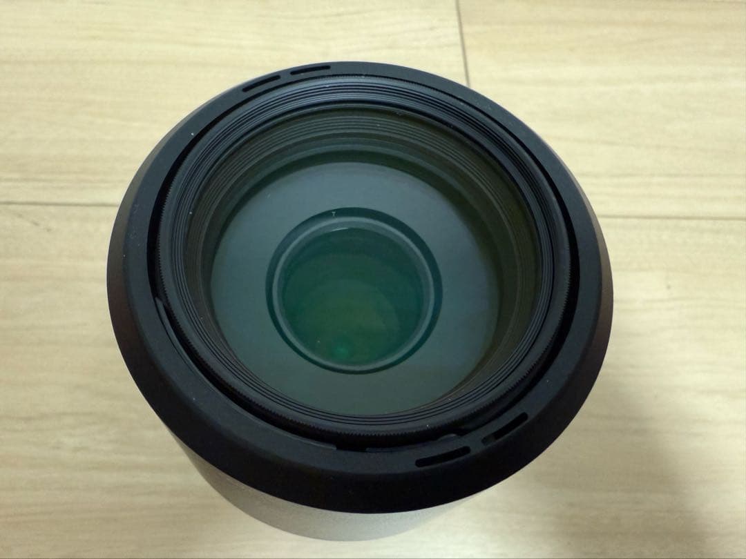 ソニー 一眼レフ α77II+DT 55-300mm F4.5-5.6 SAM