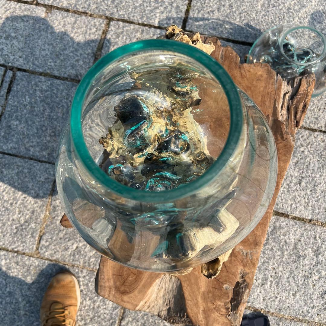 超超特大流木ガラスオブジェWB 花瓶 金魚鉢 水槽 苔リウム メダカ容器 超大型
