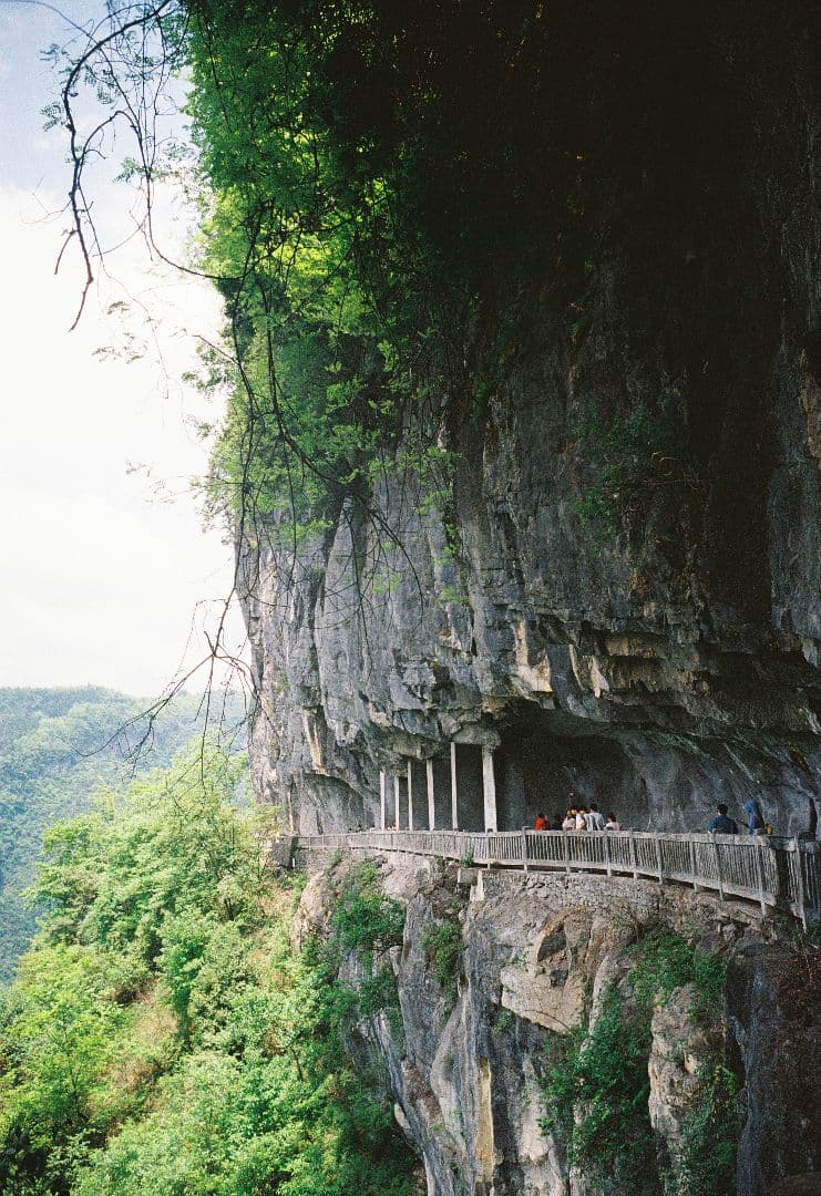 Leica ヘクトール Hektor 28mm F6.3