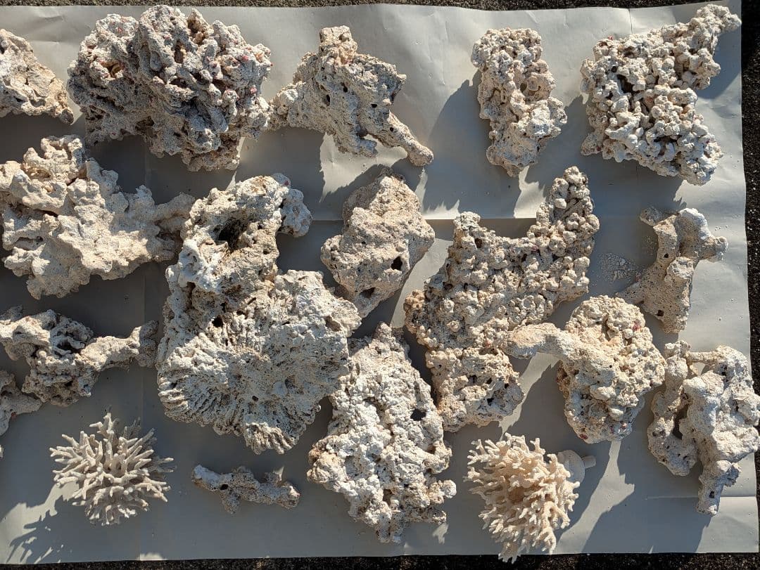 ライブロック　サンゴ　　テスロック　約6kg ①