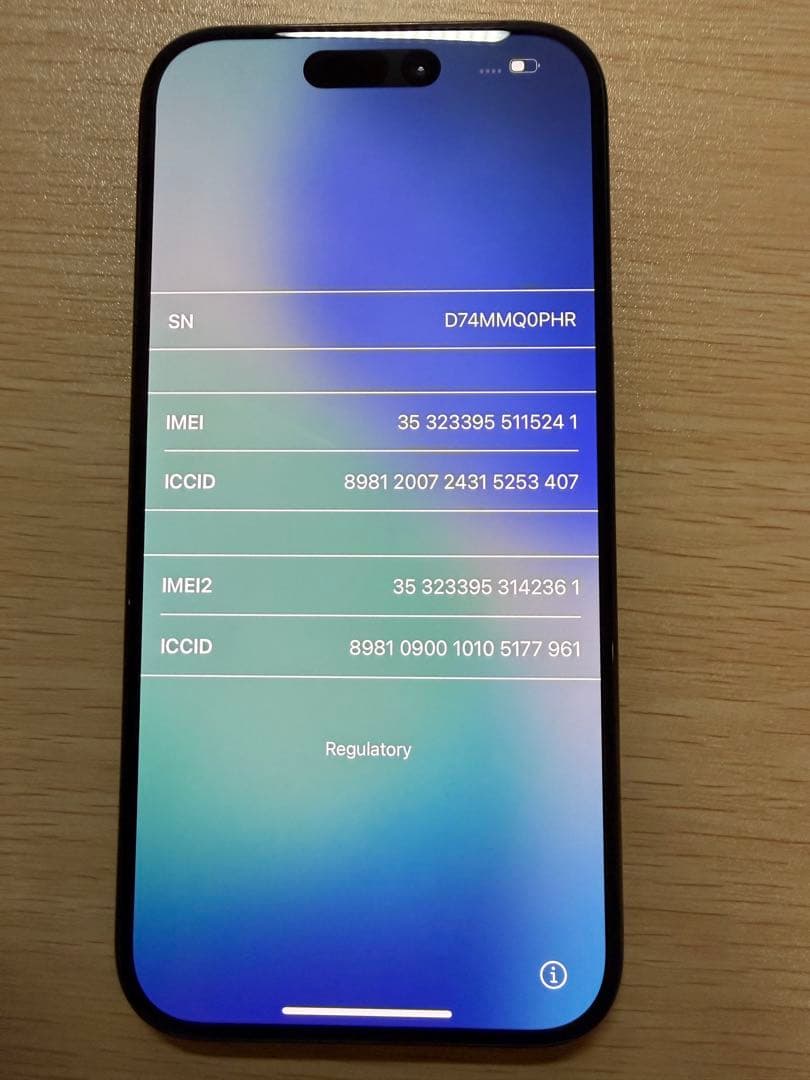 【無音シャッター】香港版 iPhone15 Pro 256GB