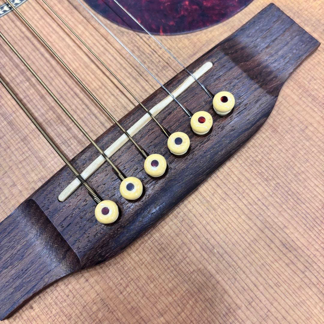 Martin DM アコースティックギター USA製 マホガニ純正ハードケース付