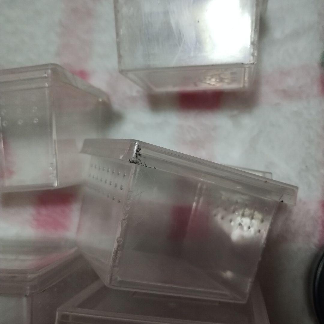 爬虫類・両生類用飼育ケージセット