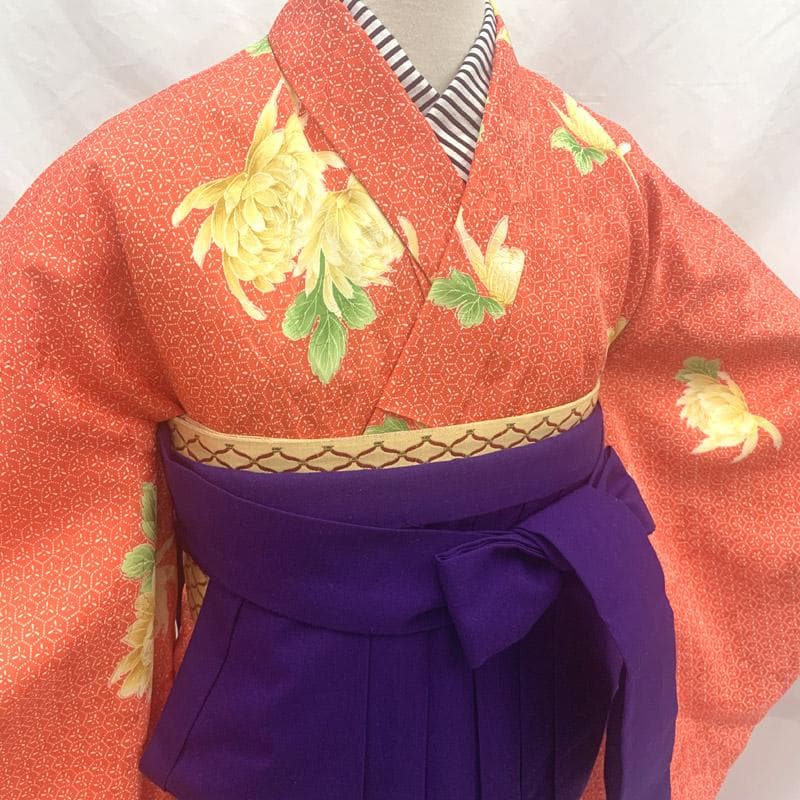 411aj33■卒業式 十三参り ジュニア 着物＆袴 菊■美品