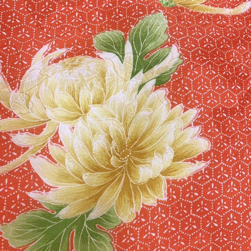 411aj33■卒業式 十三参り ジュニア 着物＆袴 菊■美品