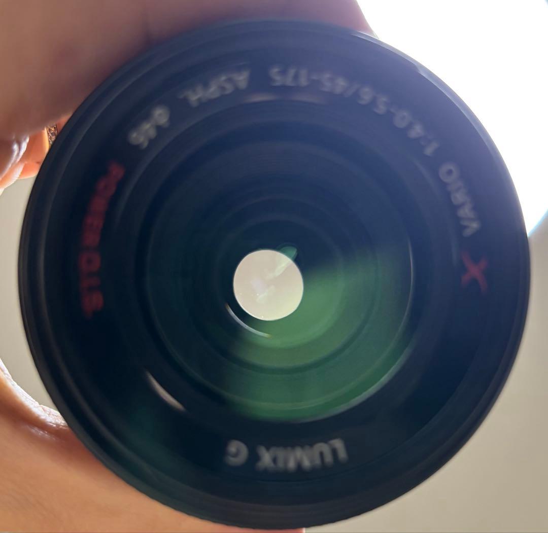 あやLUMIX ズームレンズ 45-175mm F4.0-5.6 ASPH