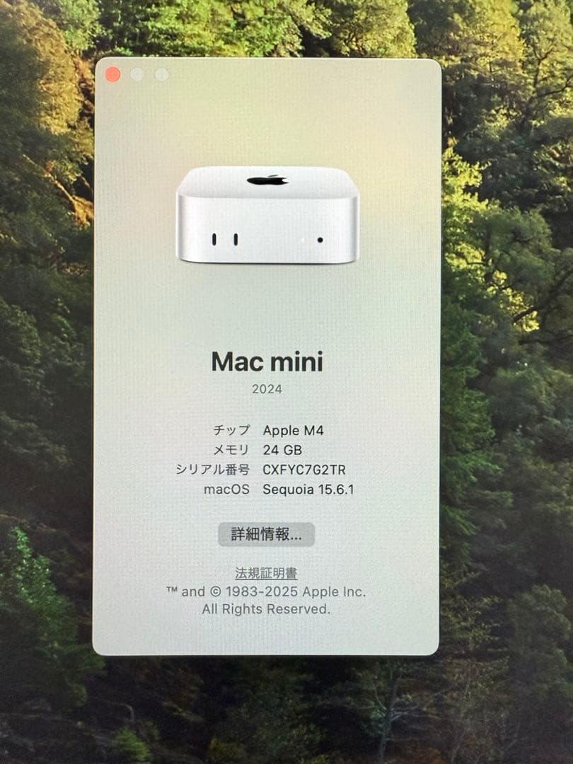【美品】M4 Mac mini 24GB/1TB & Magickeyboard