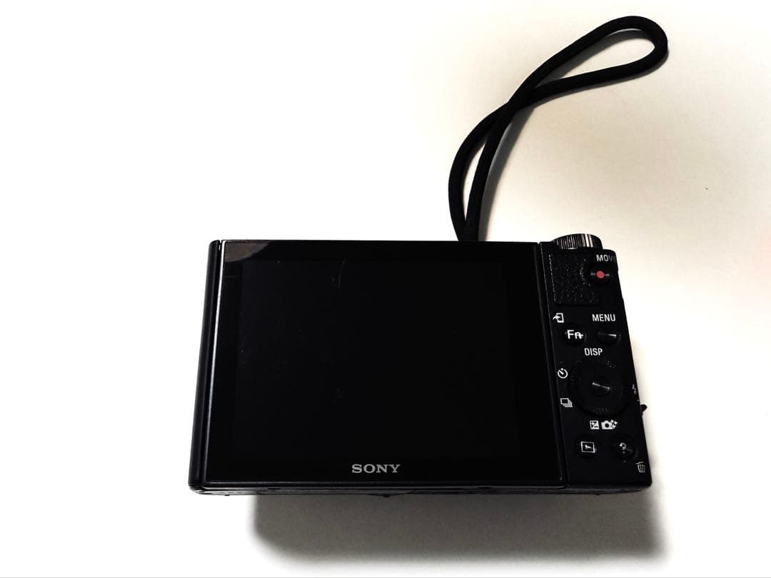 ソニー/コンパクトデジタルカメラ/Cyber-shot/DSC-WX500