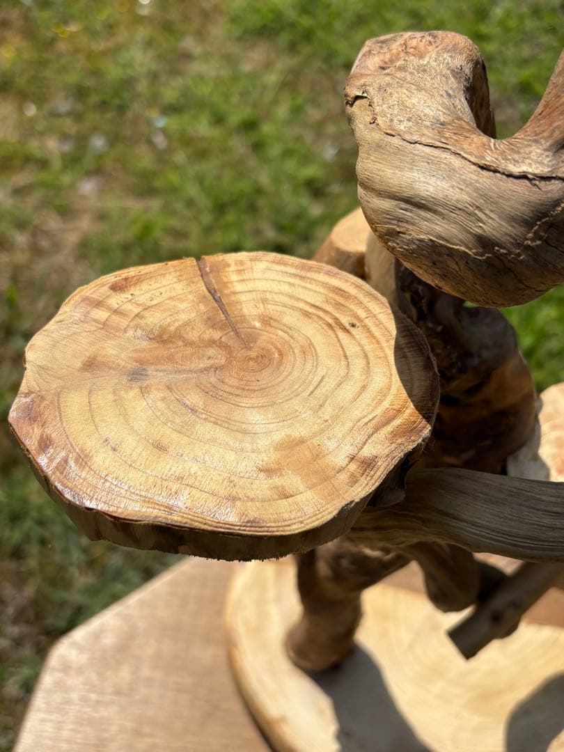 ハンドメイド　流木　バードジム　バードアスレチック　流木インテリア