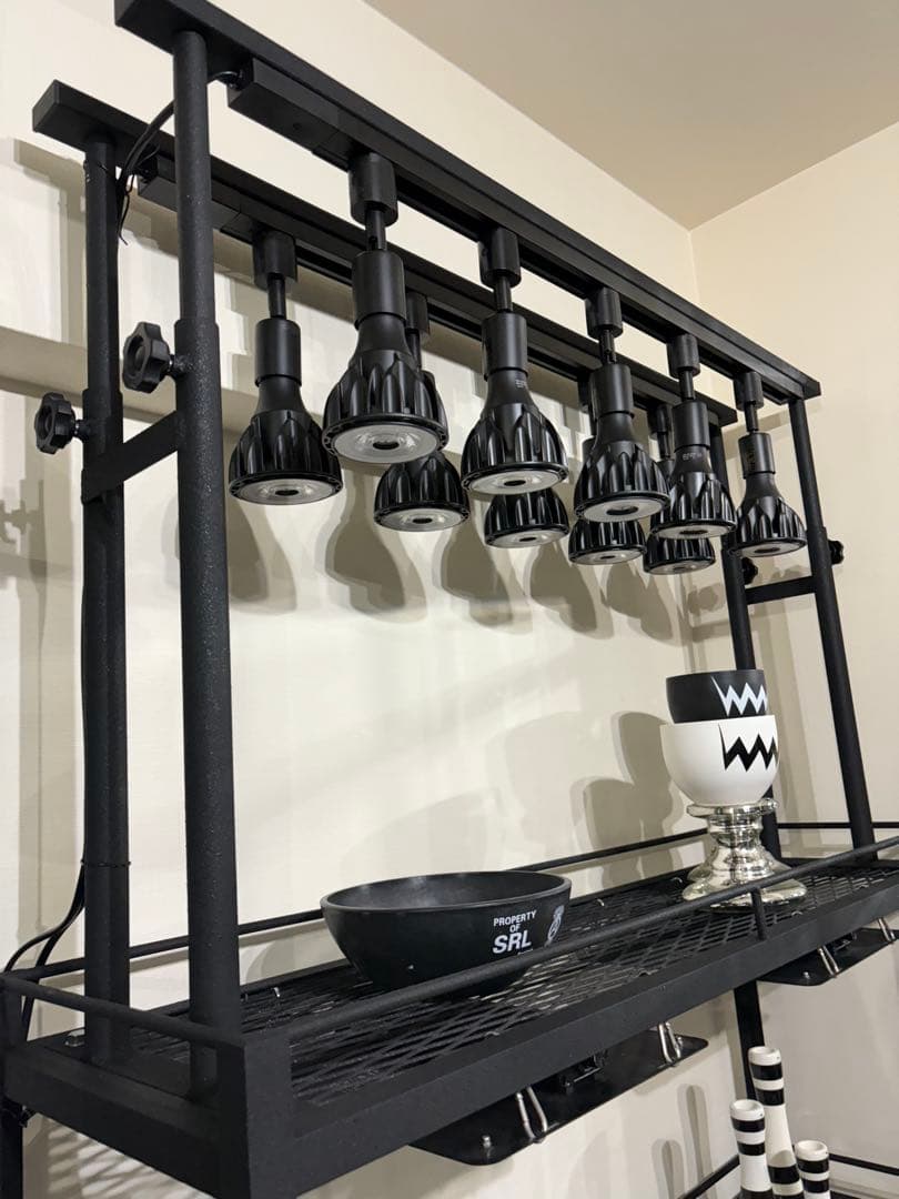 キャスター付植物棚　アイアン棚　パキプス　アイアンシェルフ　アガベ