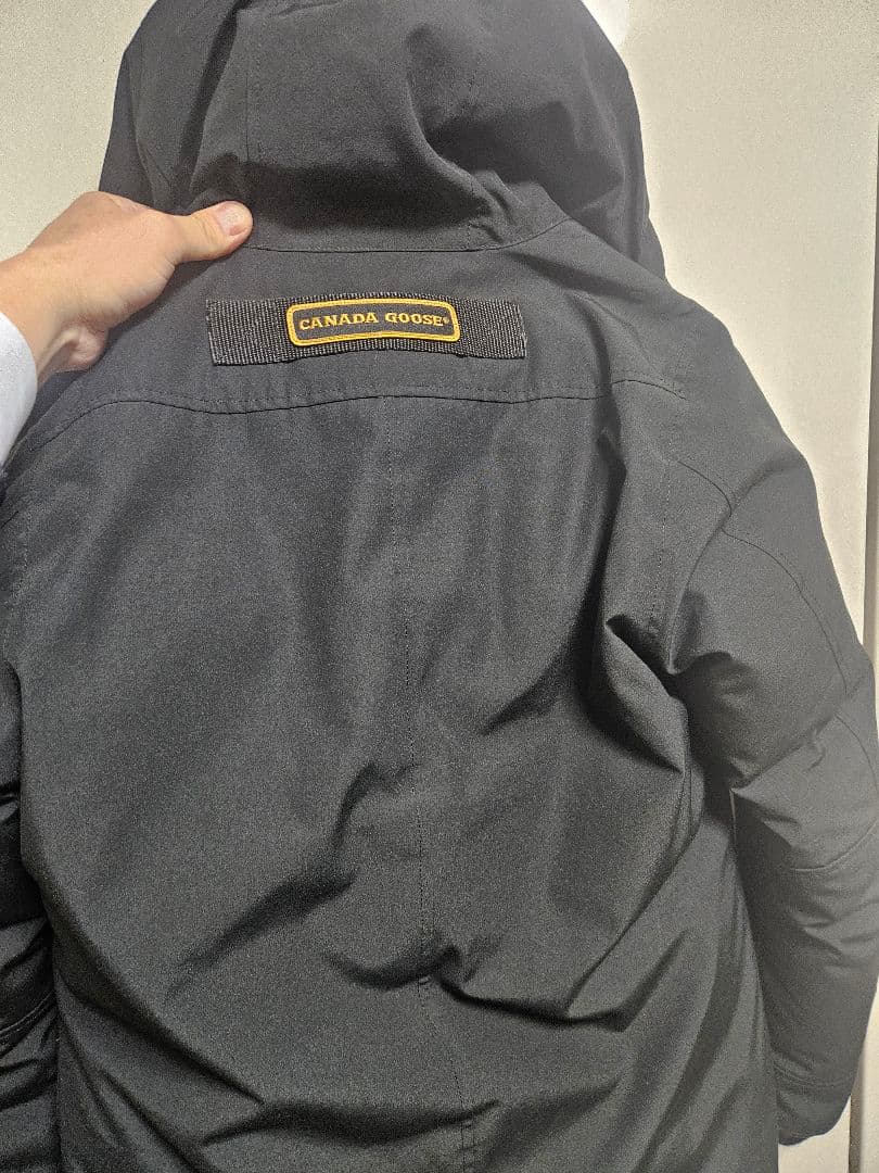 カナダグース　ジャスパー