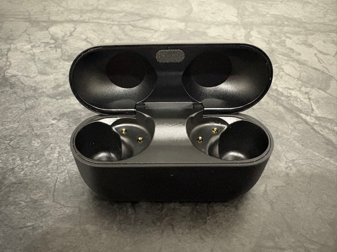 パナソニック Technics EAH-AZ100 ケースのみ