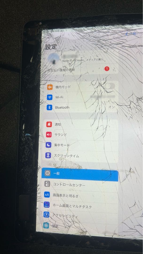 iPad Pro(12.9インチ) ジャンク
