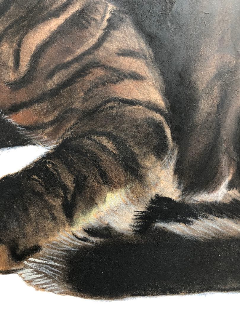 「ムサシ」猫イラスト（原画）