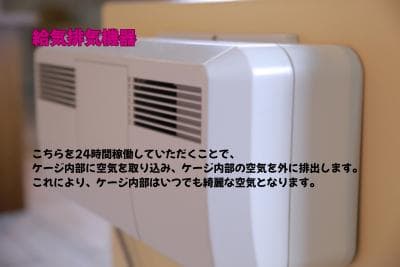 新品未使用｜防音ケージ｜小型犬向け｜キャスター付き｜ヒノキ材｜003