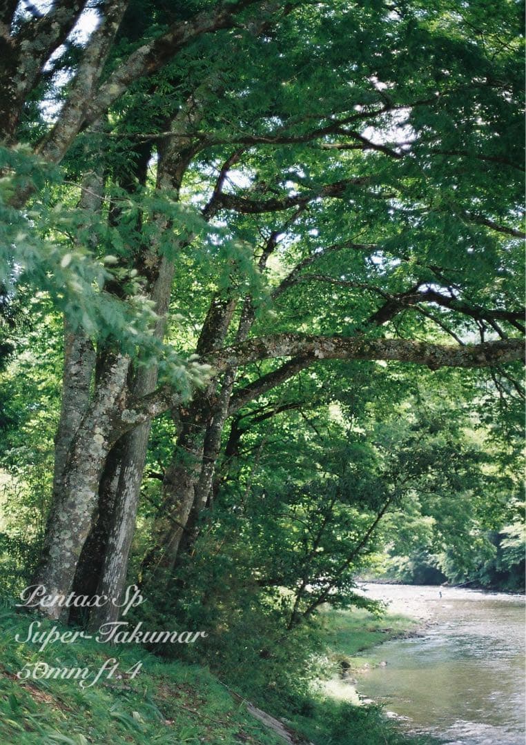 ★超美品！pentax sp ブラック/50mm f1.4 作例多数＊初期保証