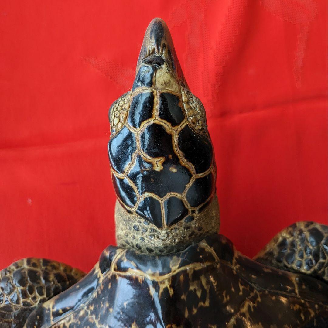 亀剥製（タイマイ) 置物　登録証付き【価格交渉承ります】