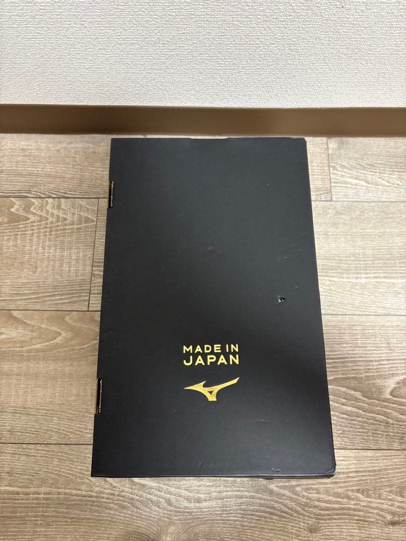 ミズノプロ　オーダースパイク　27cm