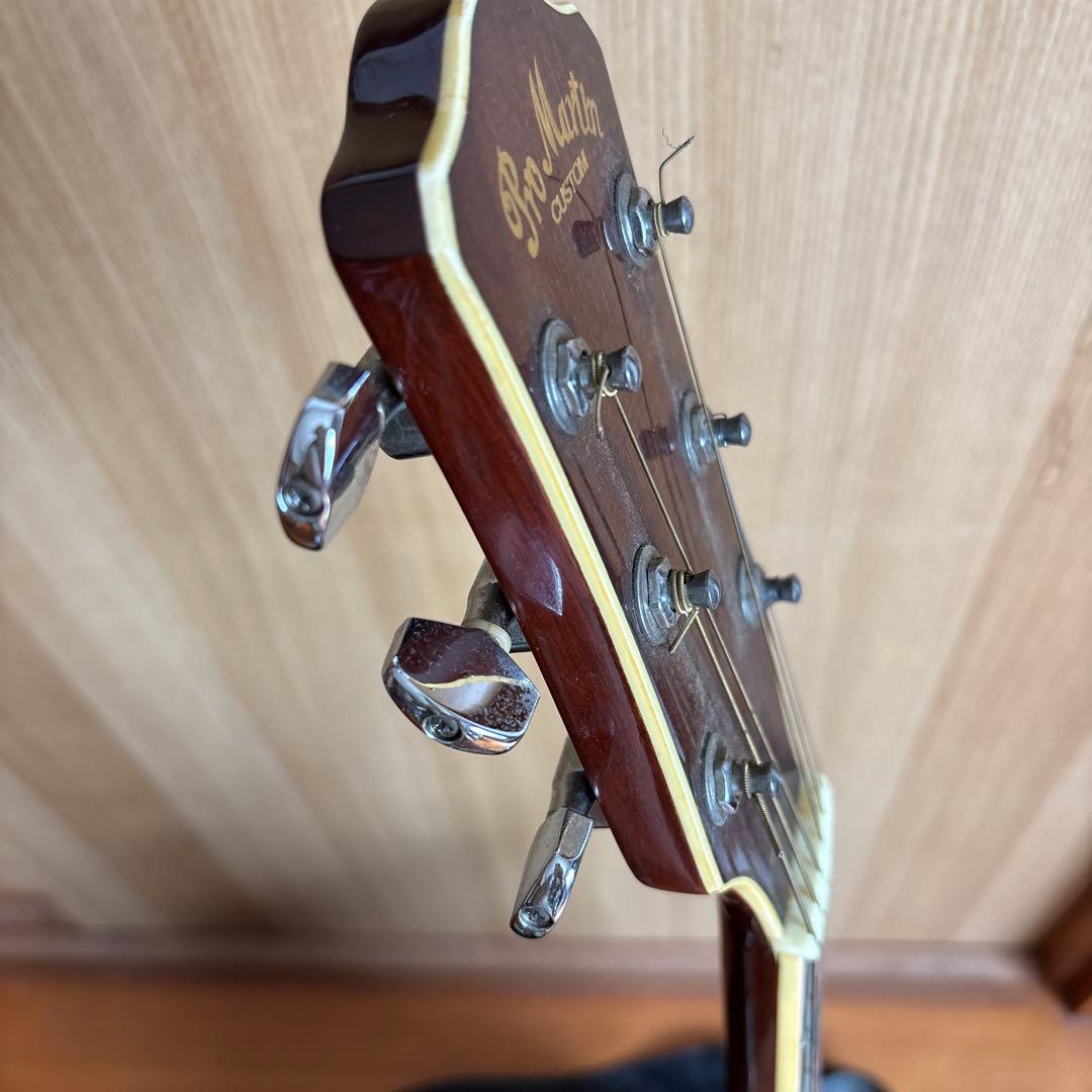 エレクトリック・アコースティックギター　Pro Martin EA500W VS