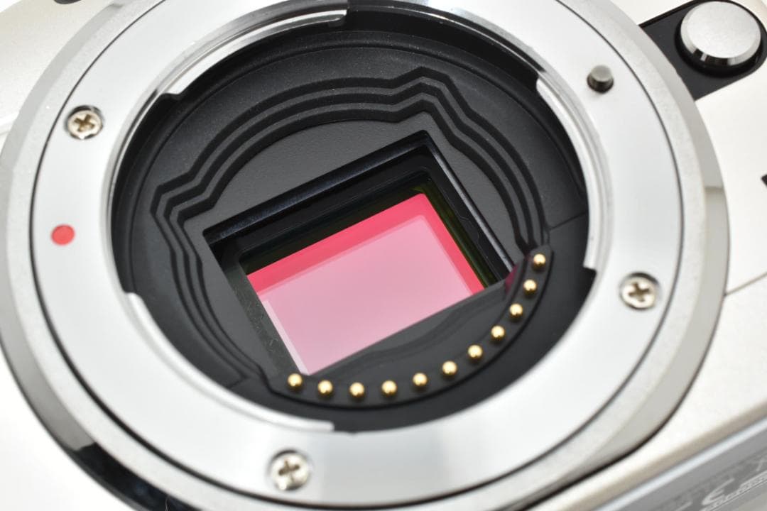 【ショット数290回】OLYMPUS E-PL1 シャンパンゴールド カメラ