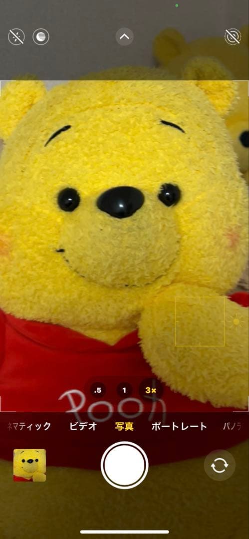 Apple iPhone 13 Pro Maxゴールド+AppleCare