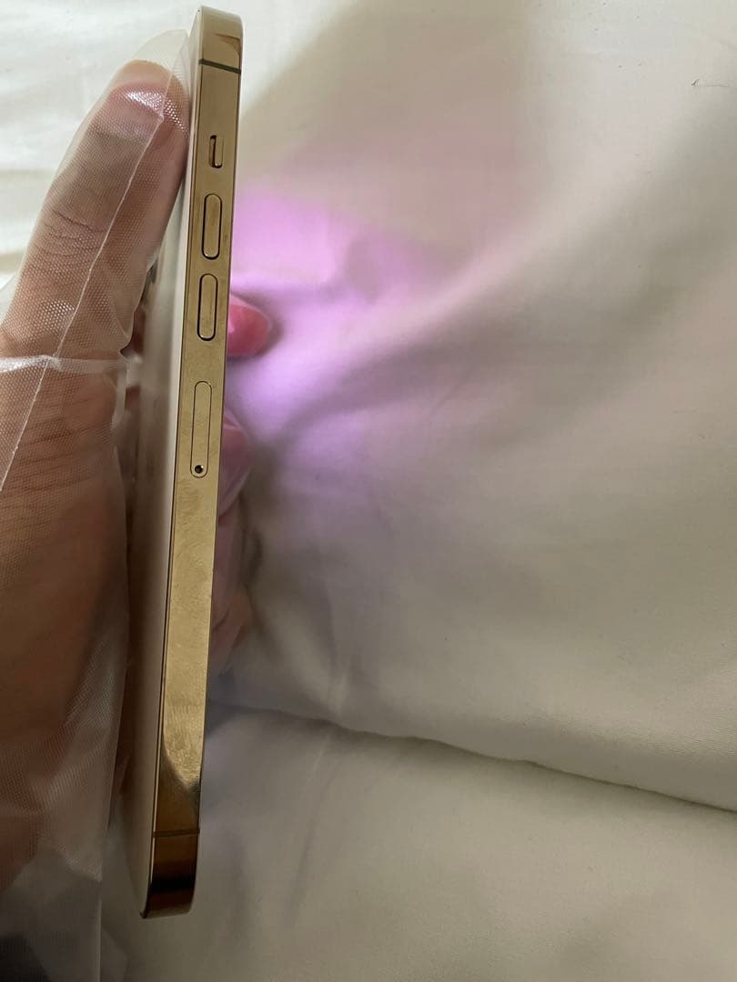 Apple iPhone 13 Pro Maxゴールド+AppleCare