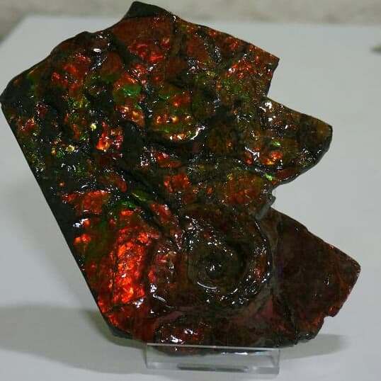 お父様さま　アンモライト 特大原石