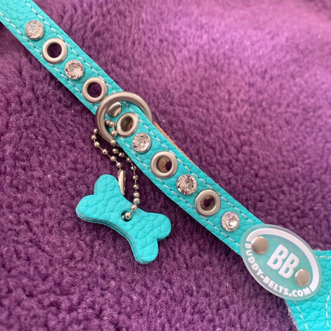 バディーベルト★ハーネス2.5号☆ティファニーブルー　スワロ付き★2kg前後