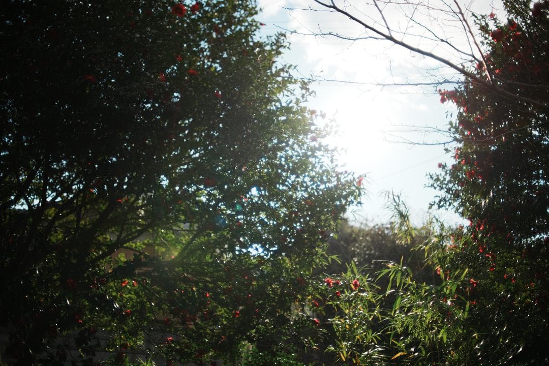 【整備＆テスト済】Nikon Ai Nikkor 35mm F1.4 648