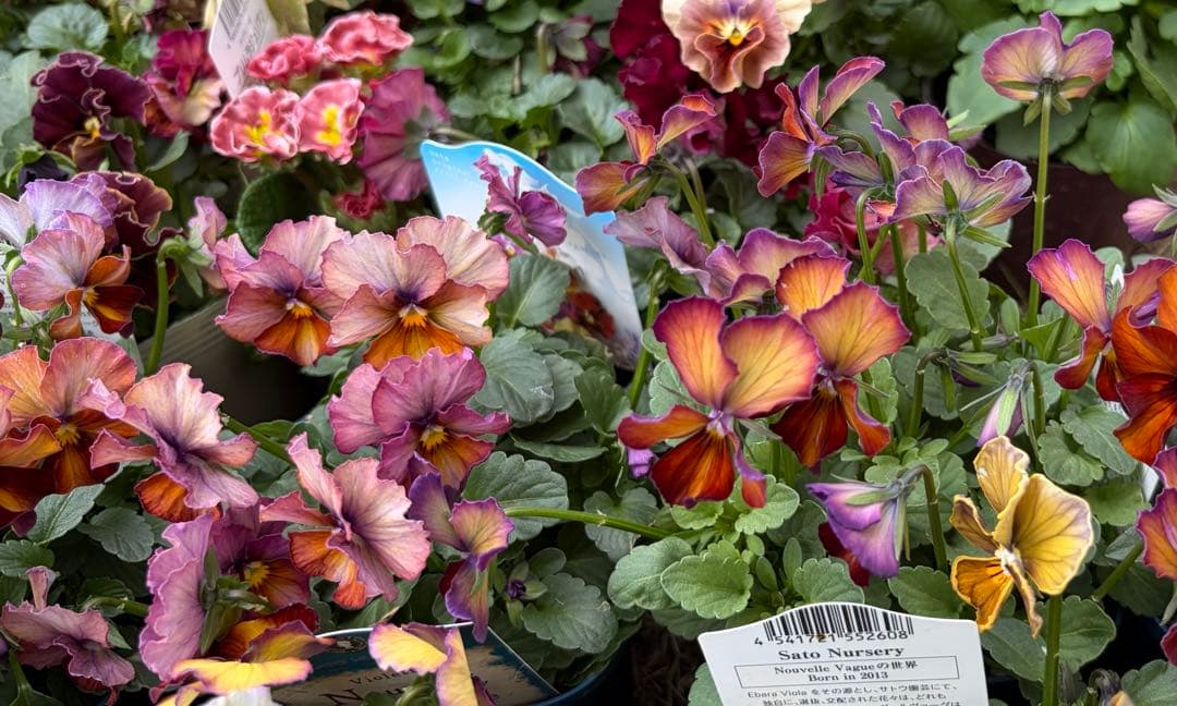 あっき様　13点