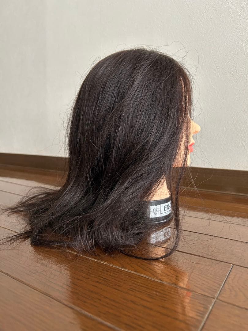 rururun レジーナ EX-7 NBL カット用ウィッグ 2体セット