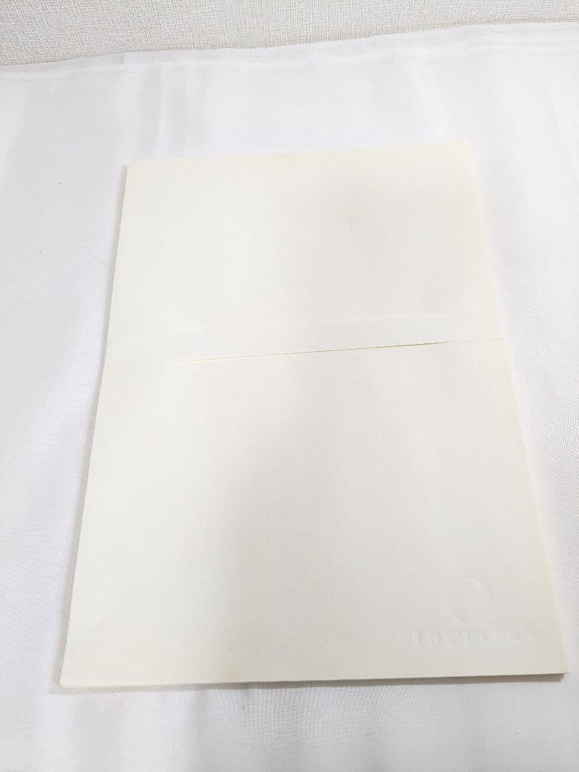 SAILOR セーラー 万年筆 創業85周年記念 シータ 青漆