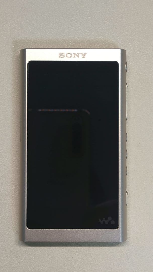 SONY ウォークマン NW-A55 (16GB)