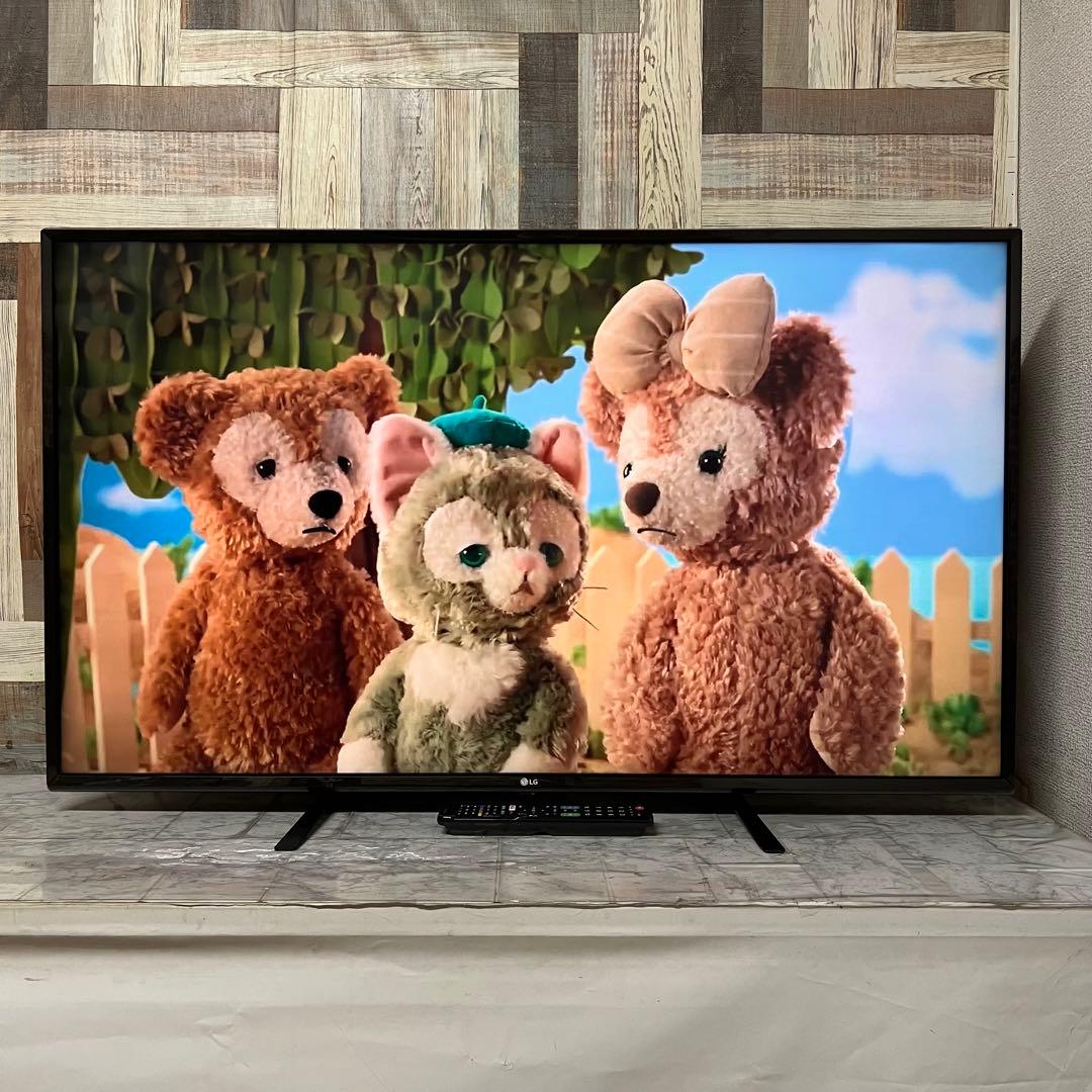 Rckyさん専用全国送料込49インチLGテレビ4K HDR対応液晶テレビ新品リモ