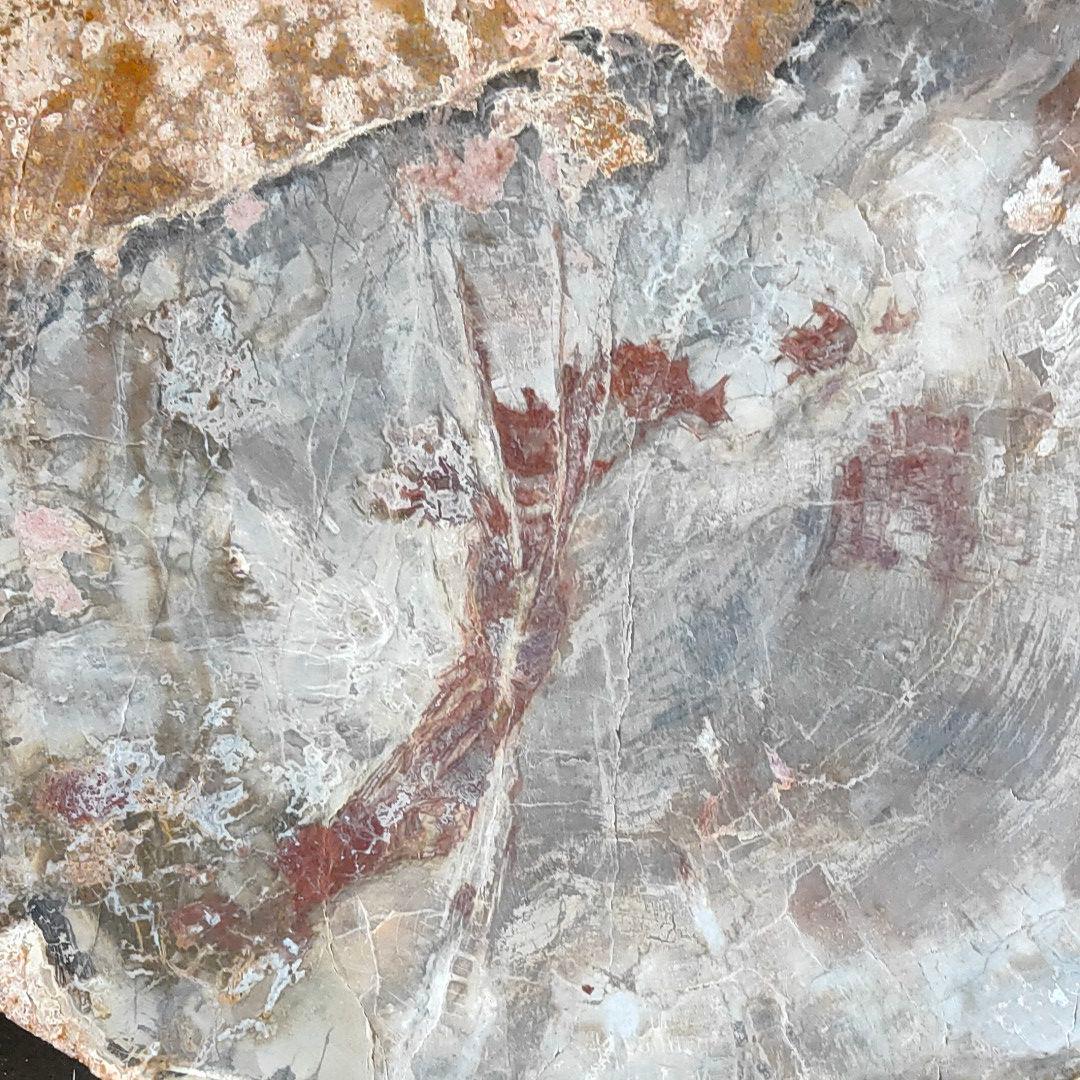 超特大の珪化木の化石です。